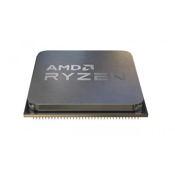 AMD Ryzen 4300G processore 3,8 GHz 4 MB L3 Scatola